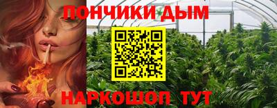 стаф Будённовск
