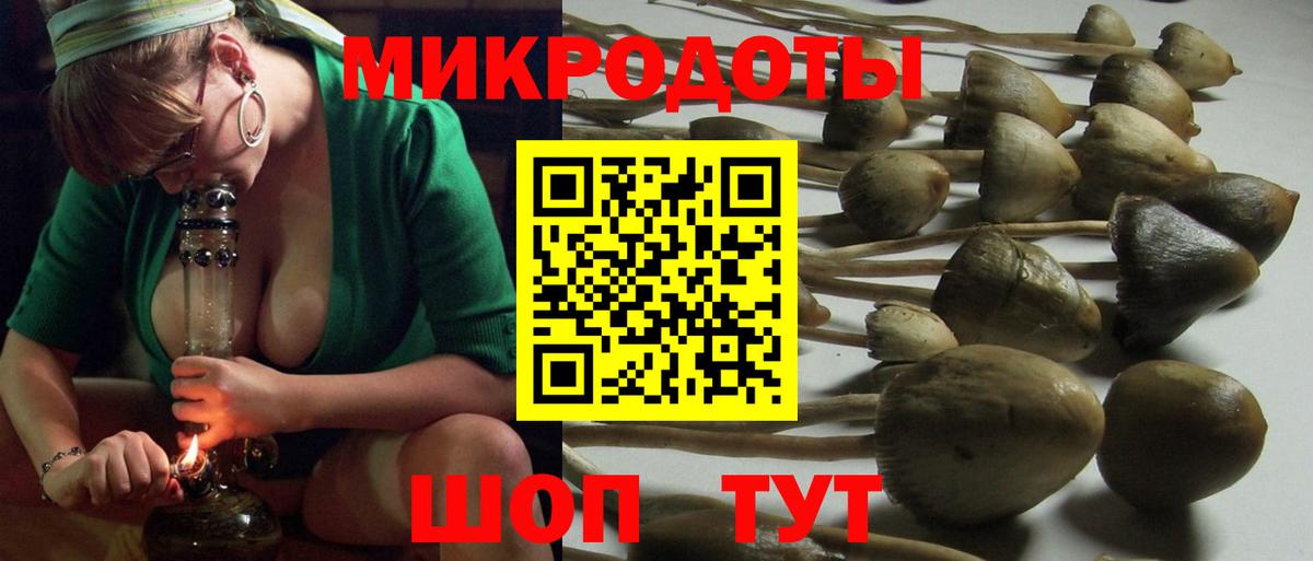 Псилоцибиновые грибы GOLDEN TEACHER  Вход с VPN  Пермь 